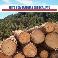 /album/carv%c3%a3o-fortaleza/madeira-de-eucalipeto-site-jpg/